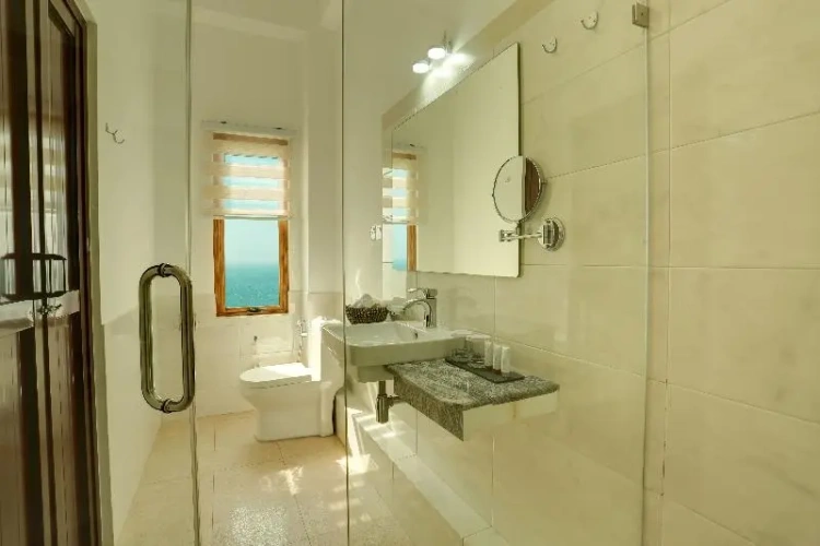 Deluxe Double room with city view