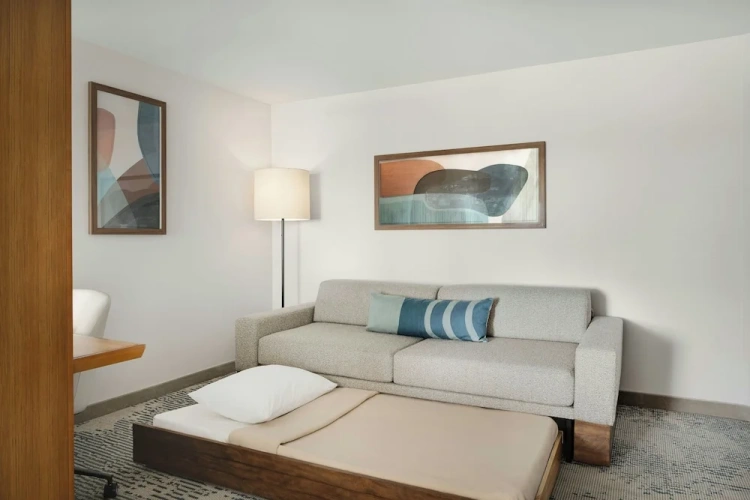 Suite with park view