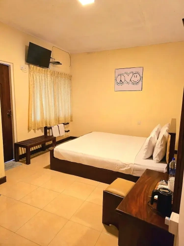 Deluxe Double room with mountain view
