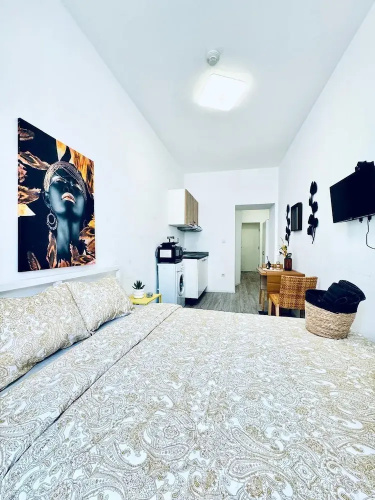 Cozy and Affordable Palace Studio