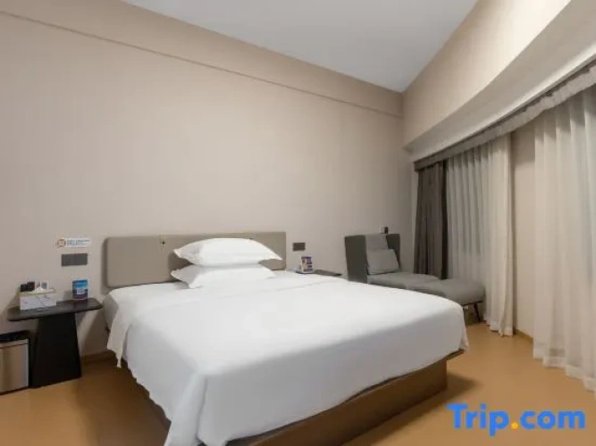 1 Bedroom Suite