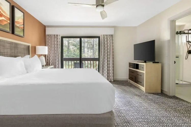 1 Bedroom Standard Suite