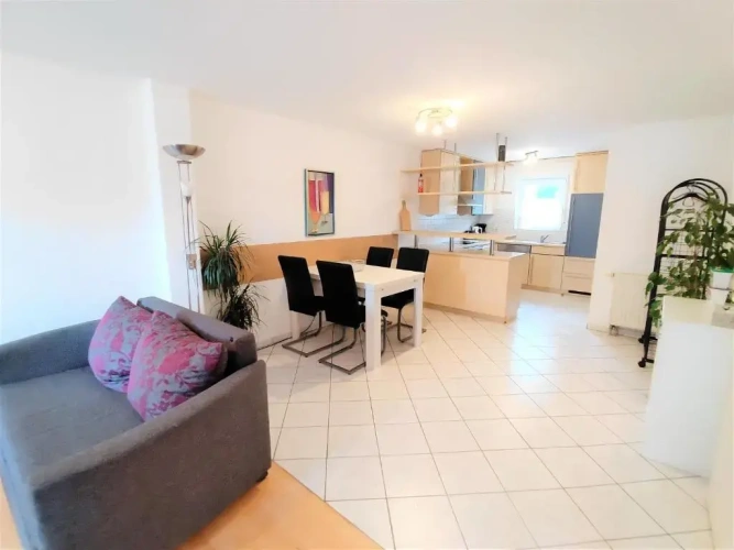 Basement Apartment