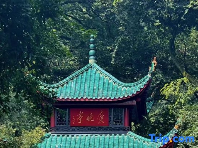 DO A LAND LAB Hotel (Changsha Financial Center Chazishan Subway Station)