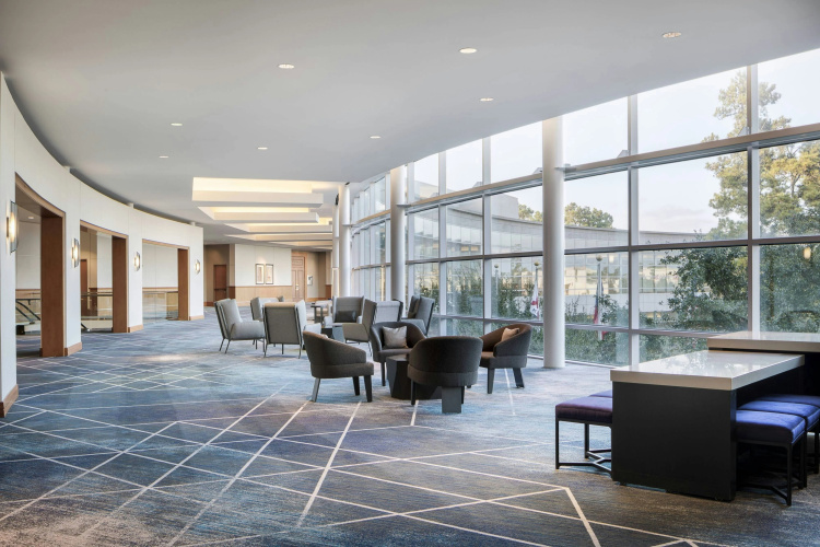 The Woodlands Waterway Marriott Hotel & Convention photo 17