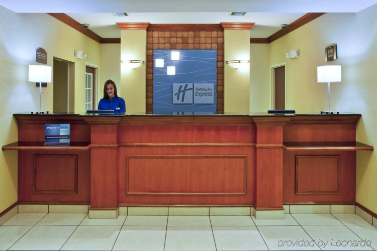 Holiday Inn Express & Suites St. Petersburg North (I-275) photo 32