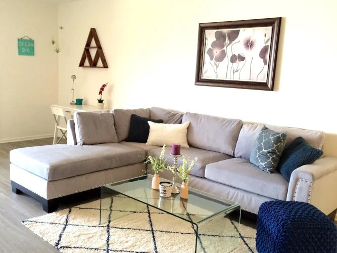 1 Bedroom Apartment