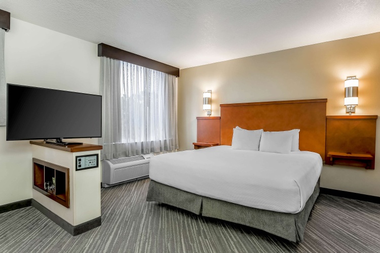 Double room (with Sofa Bed)