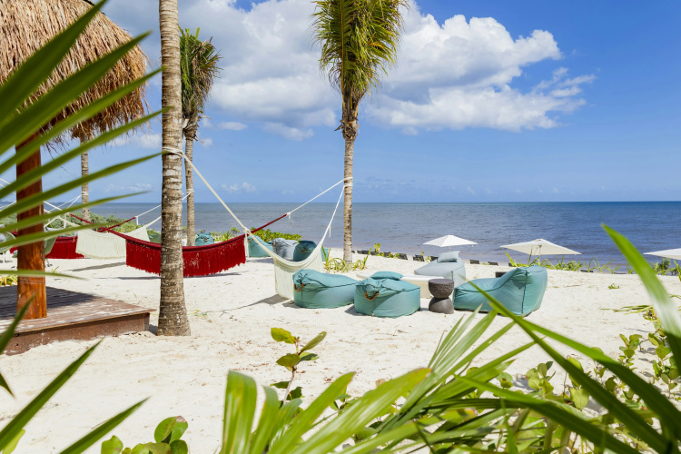 Hilton Cancun, an All-Inclusive Resort photo 35
