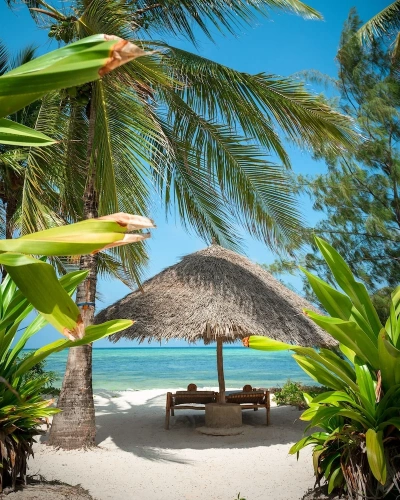 1 Bedroom Luxury Villa