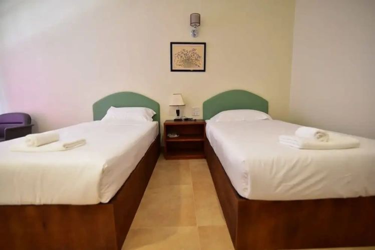 Deluxe Twin room with balcony