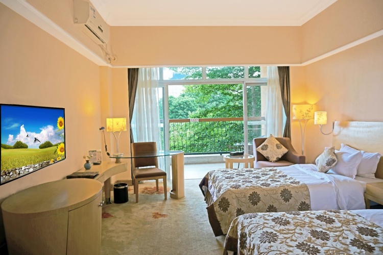 Standard Twin room with balcony