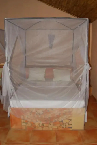 Baobab Soleil