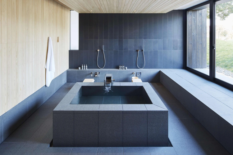Amanemu