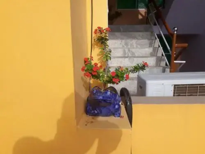 Yellow Heights