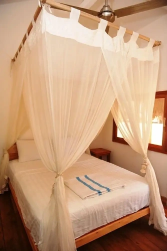 Deluxe Double room beachfront