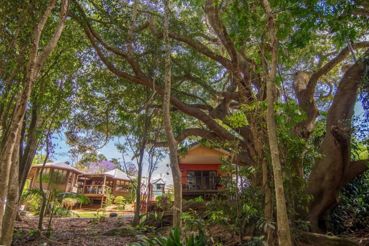 Double Cottage