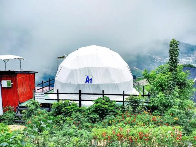 Tent