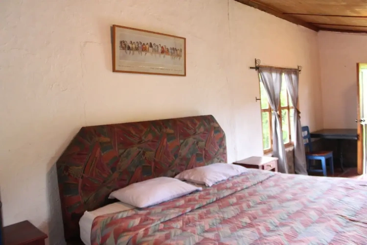 Deluxe Double room with garden view