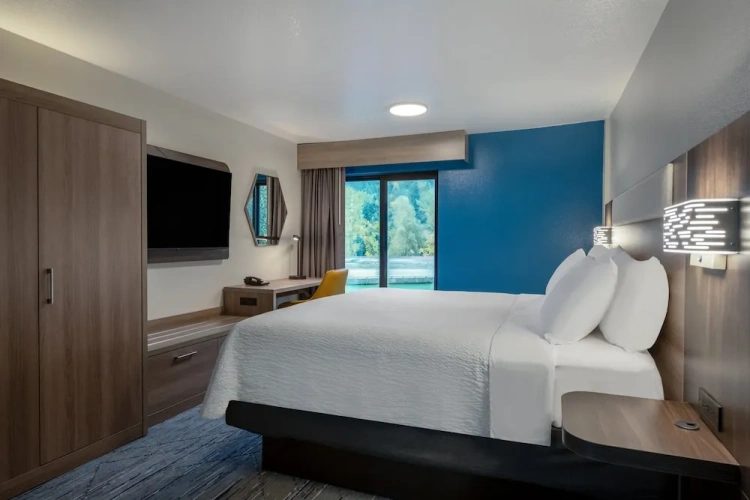 1 Bedroom Suite
