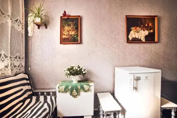 Comfortable apartment near Opera House