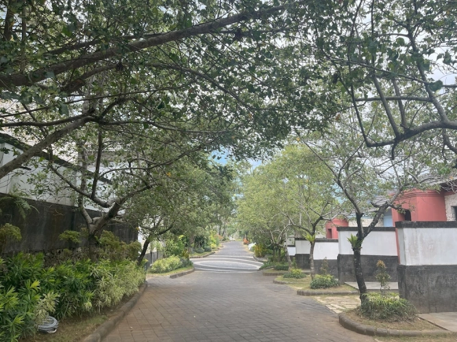 Outside