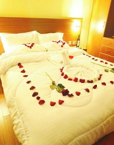 Deluxe Single room with garden view