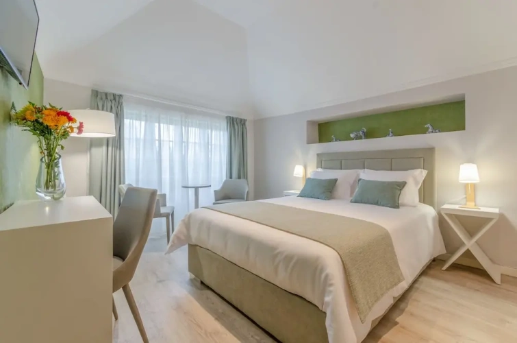 Superior Double room with balcony and with garden view