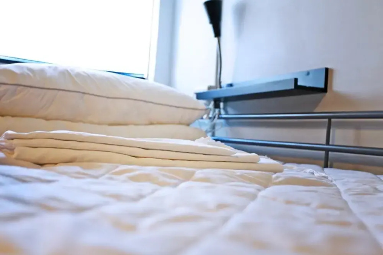 Navel Orange Hostel
