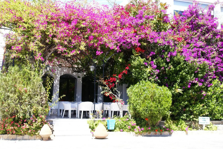 Skala Hotel