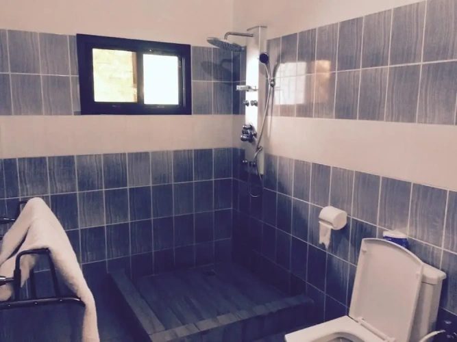 Deluxe Double room with garden view