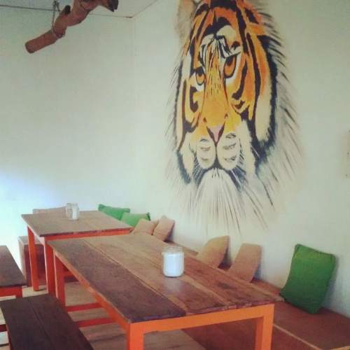 JUNGLE by thehostelcrowd