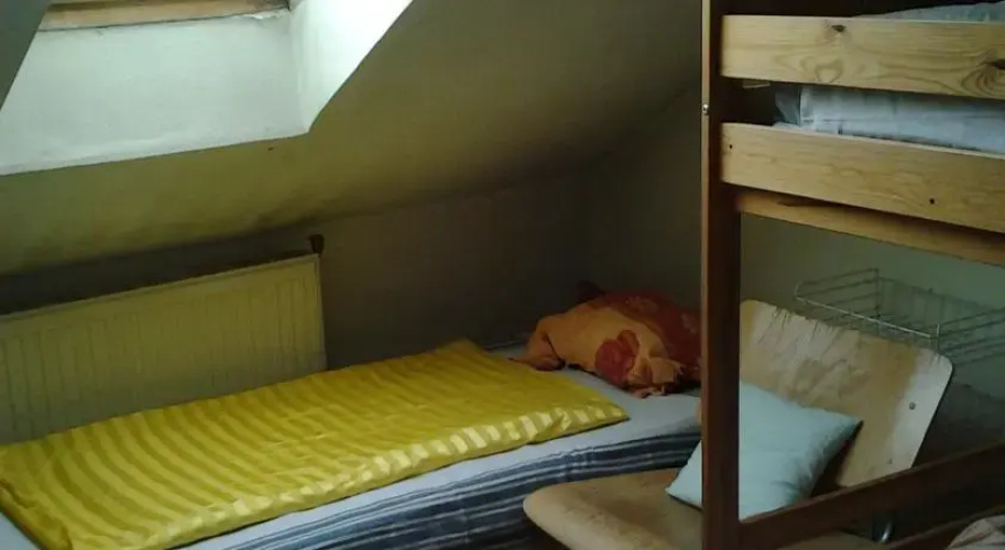 Apricot Hostel
