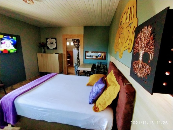 Deluxe Apartment