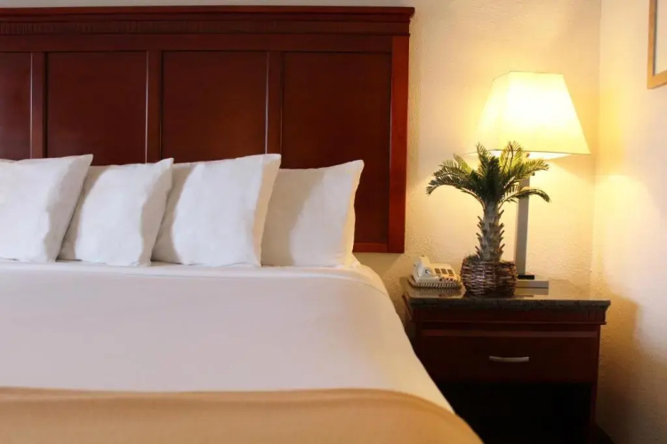 Rodeway Inn Santa Clara El Camino Real