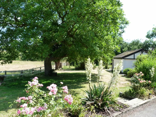 Mill Lodge Cheshire