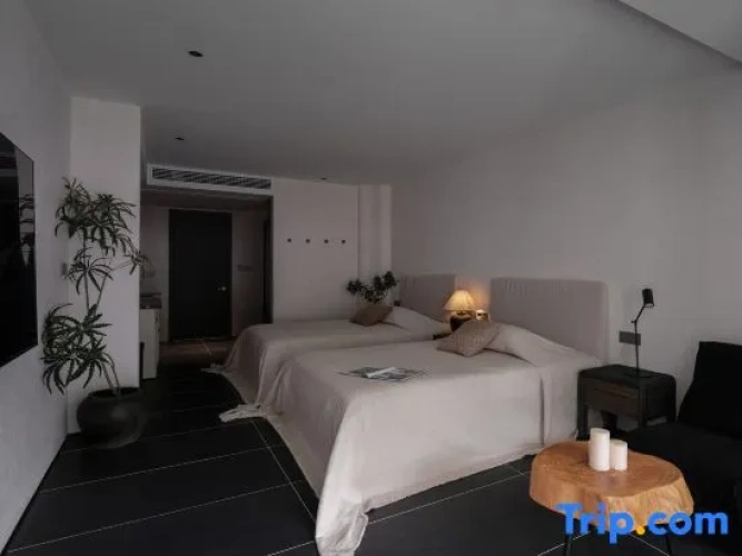 Standard Twin room with balcony and with river view