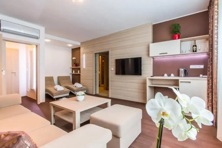 1 Bedroom Deluxe Apartment
