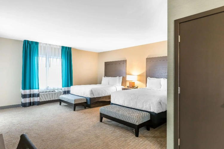 Quadruple Suite