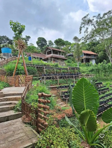 Menoreh Farm Stay Samigaluh Kulonprogo