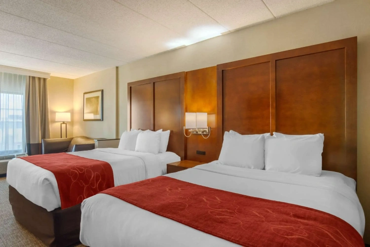 Quadruple Suite
