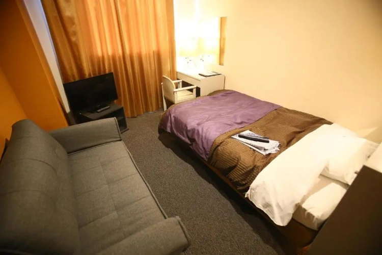 Deluxe Single room