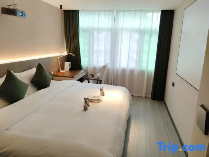 1 Bedroom Executive Suite