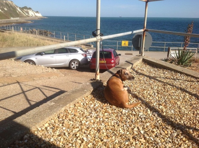 Ventnor Holiday Villas