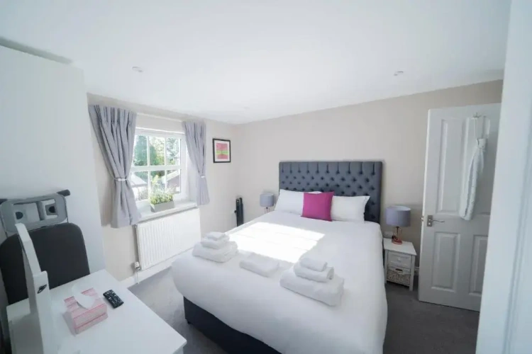 1 Bedroom Standard Apartment