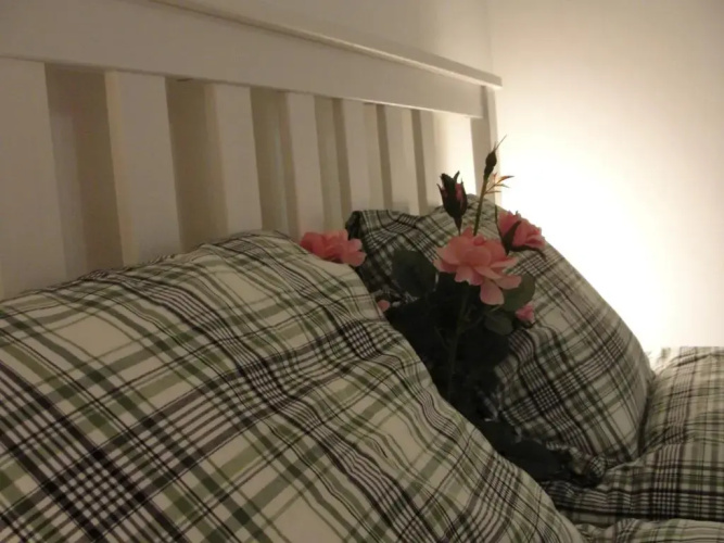 Studio apartment - Green door