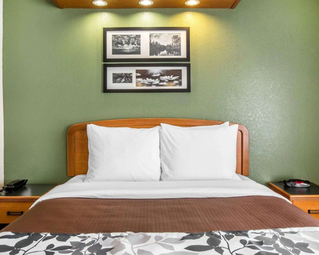 Sleep Inn and Suites