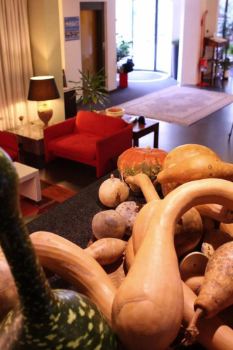 International photo 22