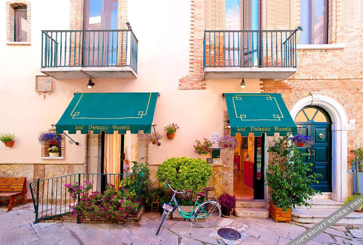 Image de l'hôtel