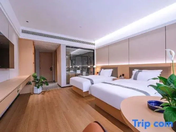 Standard Twin Family room